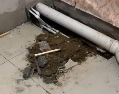 连城卫生间漏水检测哪家好