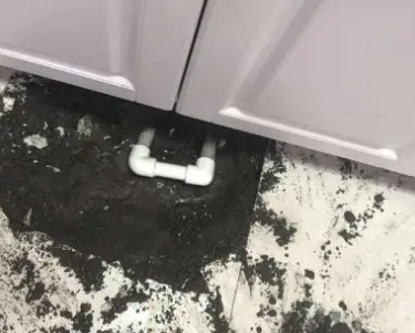 连城查漏水哪家好