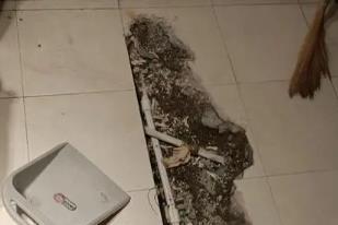 连城卫生间漏水检测电话